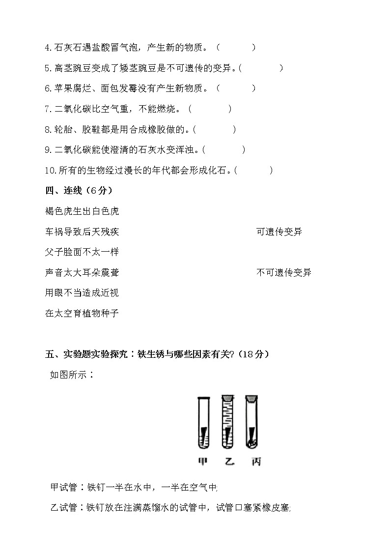 新苏教版小学科学六年级上册期中摸底测试（含答案）03