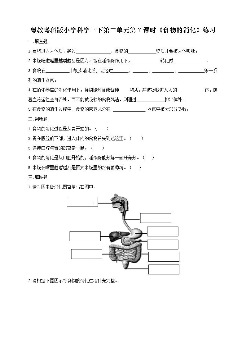 粤教粤科版小学科学三下第二单元第7课时《食物的消化》练习第1页