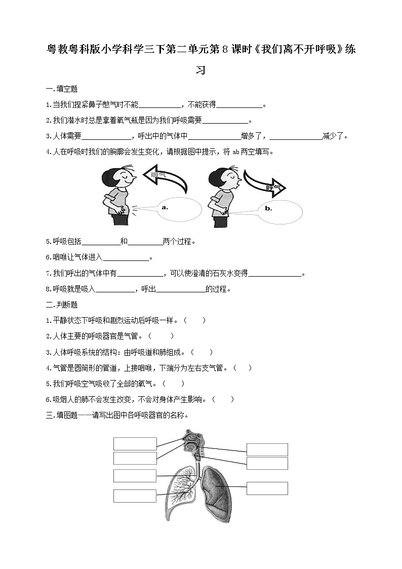 粤教粤科版三下科学  2.8《我们离不开呼吸》课件+教案+练习01