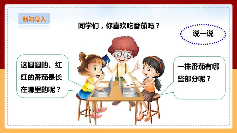 粤教粤科版三下科学  3.11《一株番茄》课件+教案+练习03