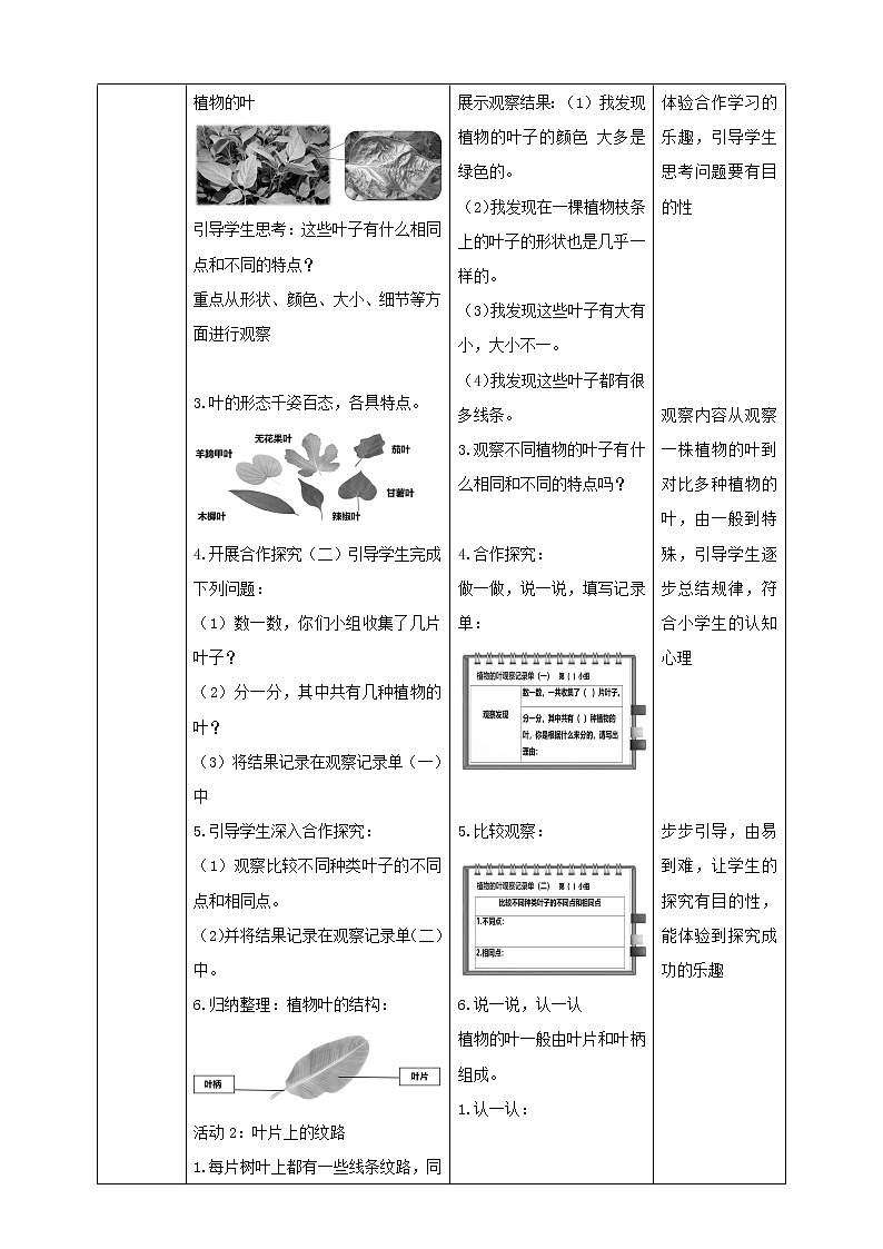 粤教粤科版小学科学三下第三单元第12课时《植物的叶》教案第2页