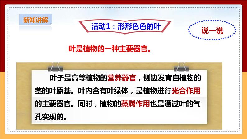 粤教粤科版小学科学三下第三单元第12课时《植物的叶》课件第4页