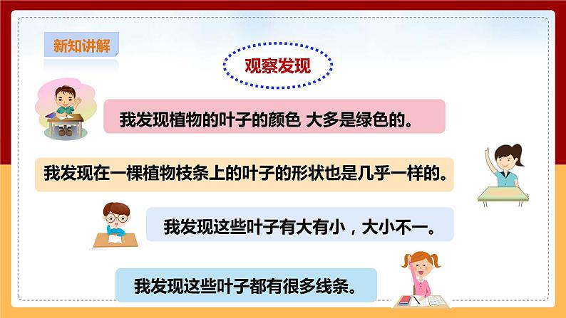 粤教粤科版小学科学三下第三单元第12课时《植物的叶》课件第6页