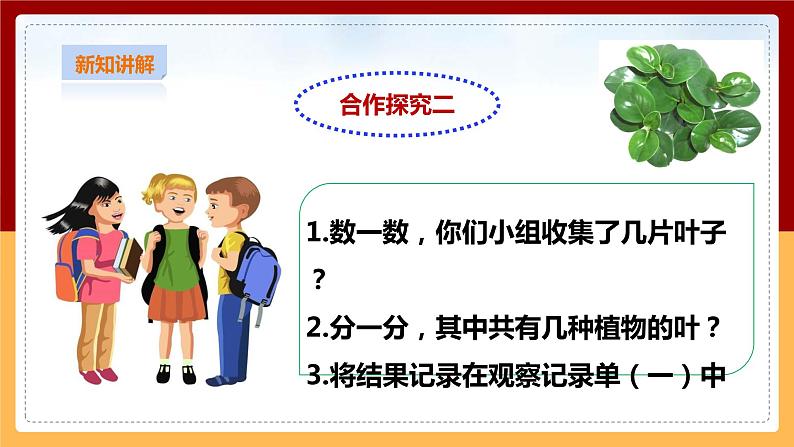 粤教粤科版小学科学三下第三单元第12课时《植物的叶》课件第8页