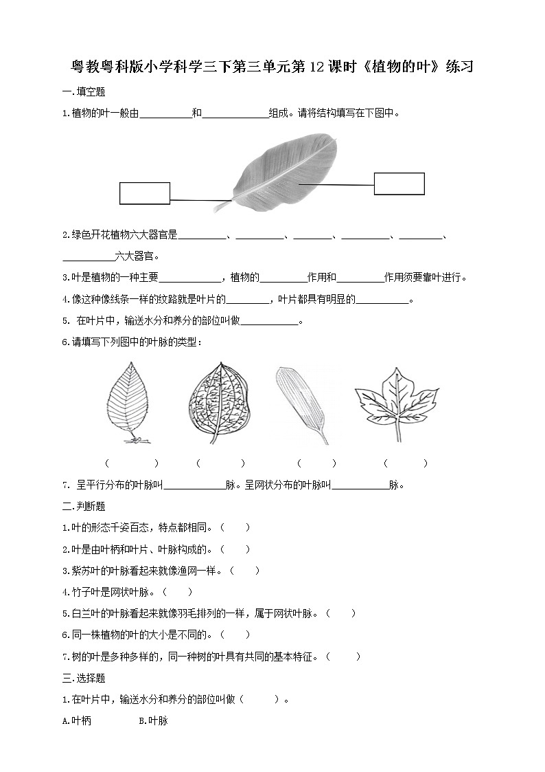 粤教粤科版小学科学三下第三单元第12课时《植物的叶》练习第1页