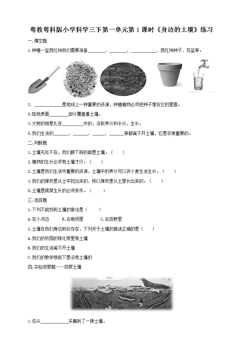 粤教粤科版小学科学三下第一单元第1课时《身边的土壤》练习第1页