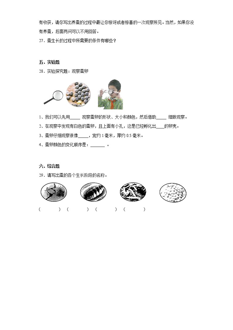 教科版三年级科学下册第二单元综合测试卷动物的一生（二）含答案03