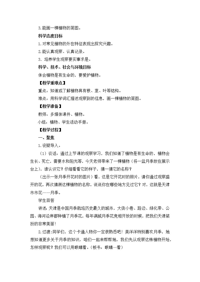 一上1.2《观察一棵植物》 教学设计02