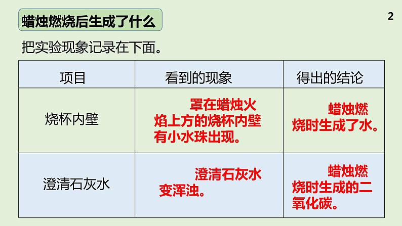 冀人版科学（2017）五年级上册活动手册答案 课件04