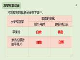冀人版科學(xué)（2017）五年級上冊活動手冊答案 課件