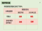 冀人版科学（2017）五年级上册活动手册答案 课件