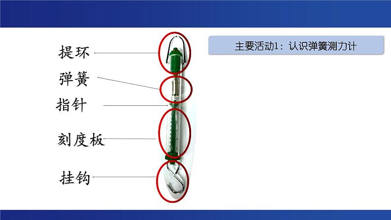 教科版四上3.4 《弹簧测力计》课件03