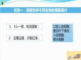 六上《观察更多的生物细胞》课件