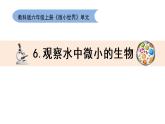 六上1.6《观察水中微小的生物》教学课件