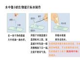 六上1.6《观察水中微小的生物》教学课件