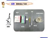 六上1.6《观察水中微小的生物》教学课件