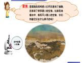 六上观察水中微小的生物课件
