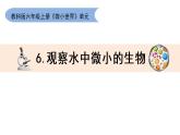六上观察水中微小的生物课件
