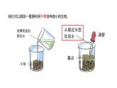 六上观察水中微小的生物课件