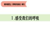 四上《感受我们的呼吸》课件