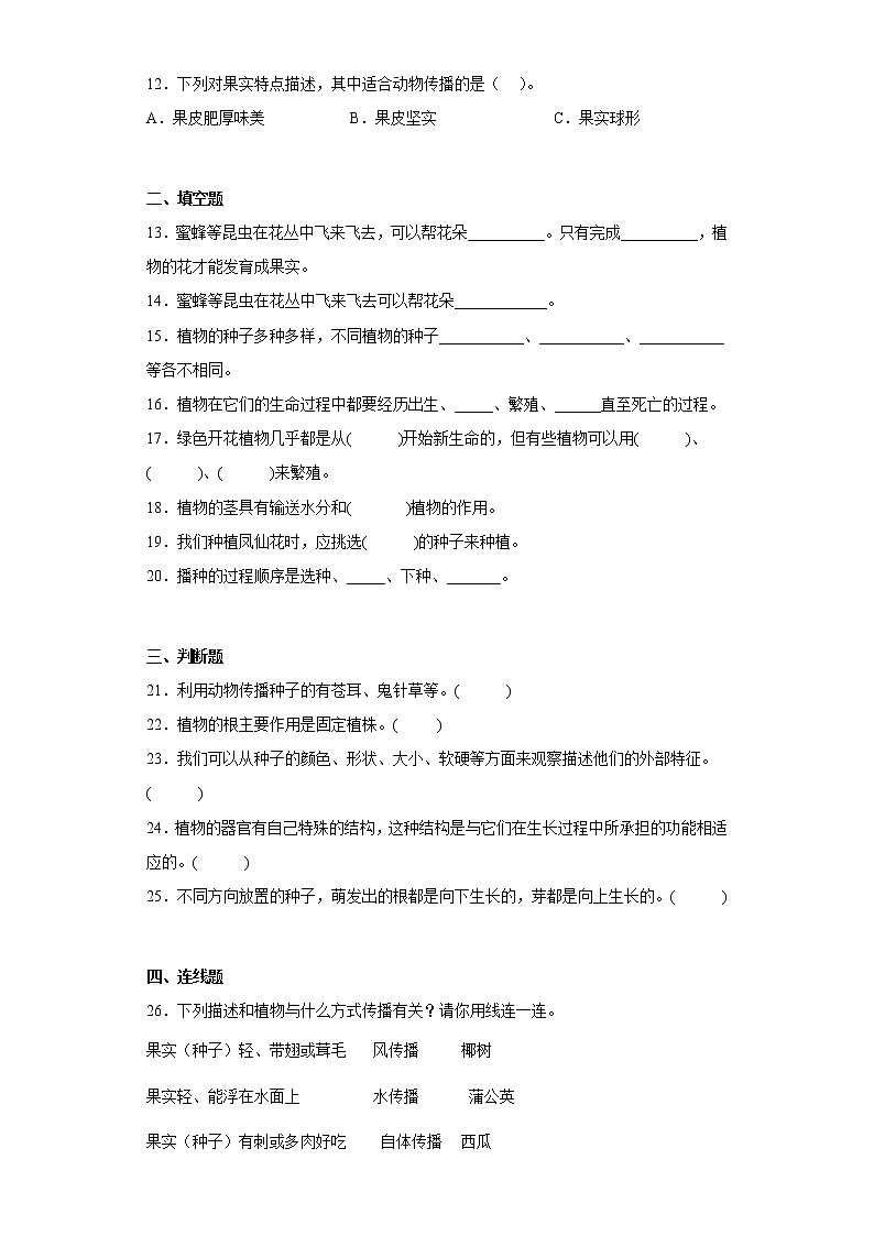 教科版四年级科学下册第一单元综合测试卷植物的生长变化（一）含答案第2页