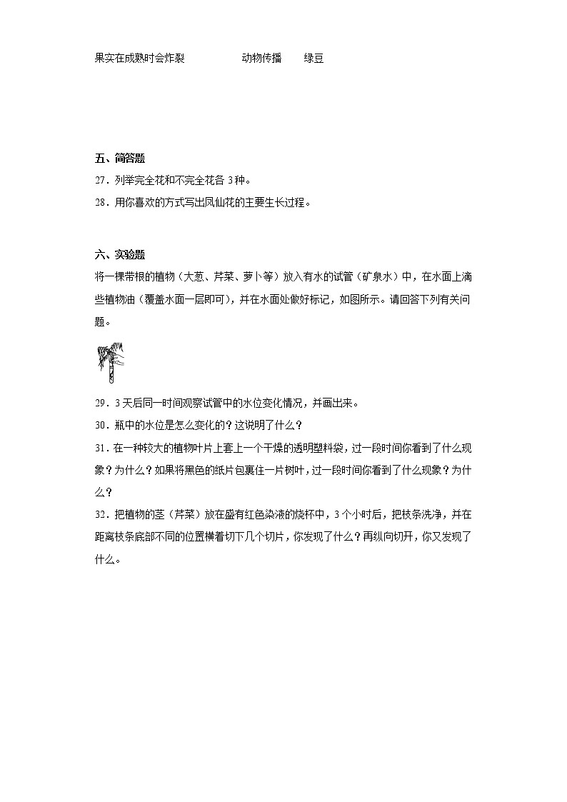 教科版四年级科学下册第一单元综合测试卷植物的生长变化（一）含答案第3页