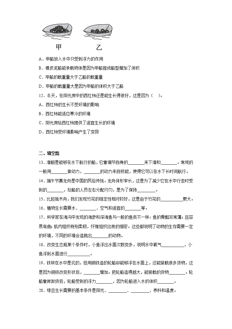 教科版五年级科学下册期中综合测试卷（一）含答案02