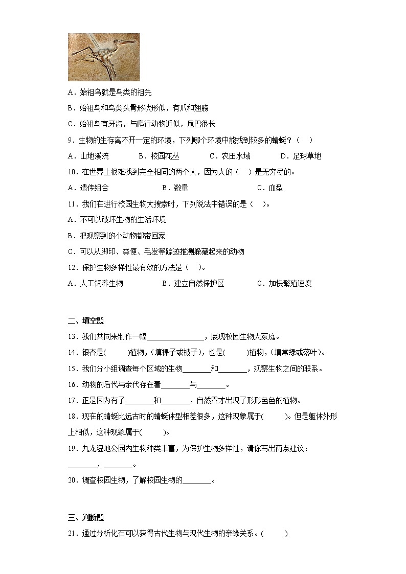 教科版六年级科学下册第二单元综合测试卷生物的多样性（一）含答案第2页