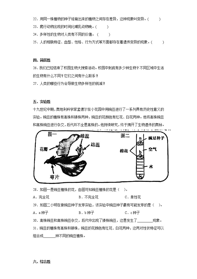 教科版六年级科学下册第二单元综合测试卷生物的多样性（一）含答案第3页