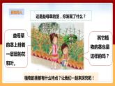 粤教粤科版三下科学  3.13《植物的茎》课件+教案+练习