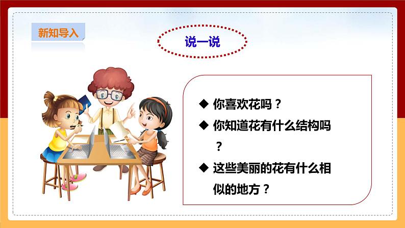 粤教粤科版三下科学  3.15《植物的花》课件+教案+练习03