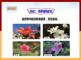 粤教粤科版三下科学  3.15《植物的花》课件+教案+练习