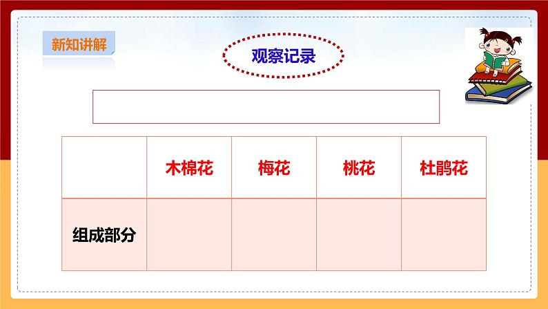 粤教粤科版三下科学  3.15《植物的花》课件+教案+练习06