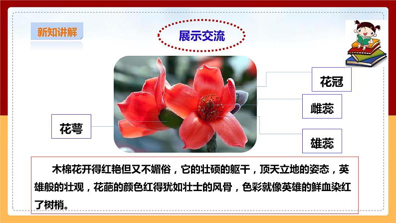 粤教粤科版三下科学  3.15《植物的花》课件+教案+练习08