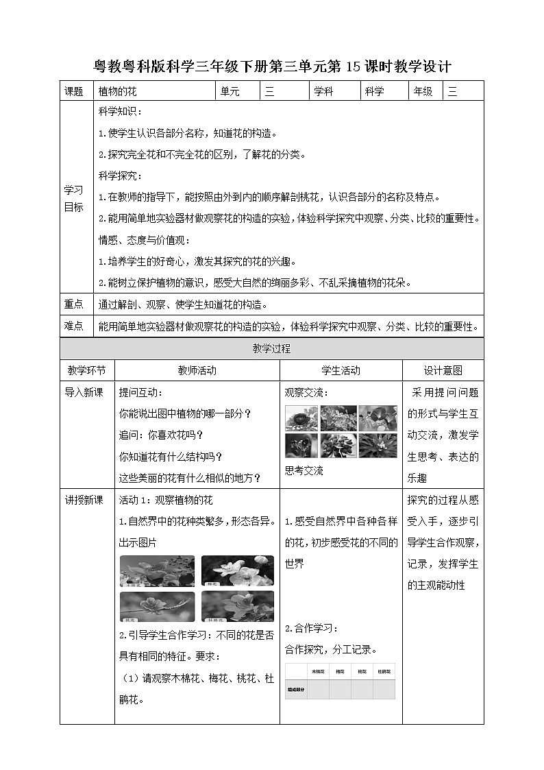 粤教粤科版三下科学  3.15《植物的花》课件+教案+练习01