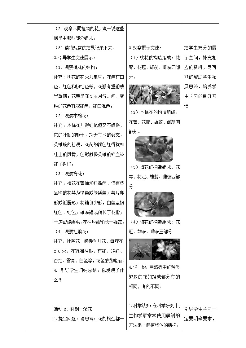粤教粤科版三下科学  3.15《植物的花》课件+教案+练习02
