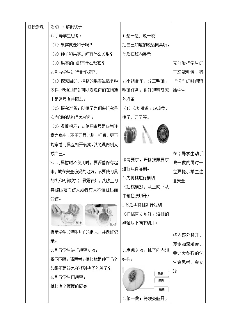 粤教粤科版三下科学  3.16《果实和种子》课件+教案+练习02