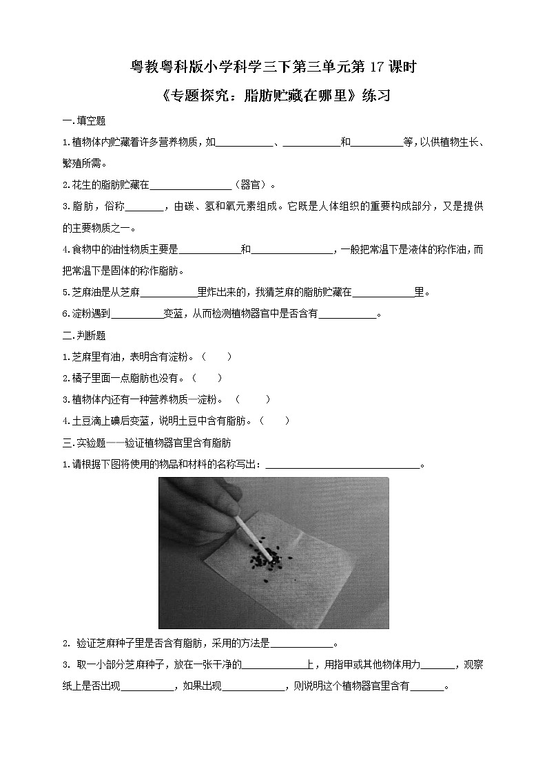 粤教粤科版三下科学  3.17《专题研究：脂肪贮藏在哪里》课件+教案+练习01