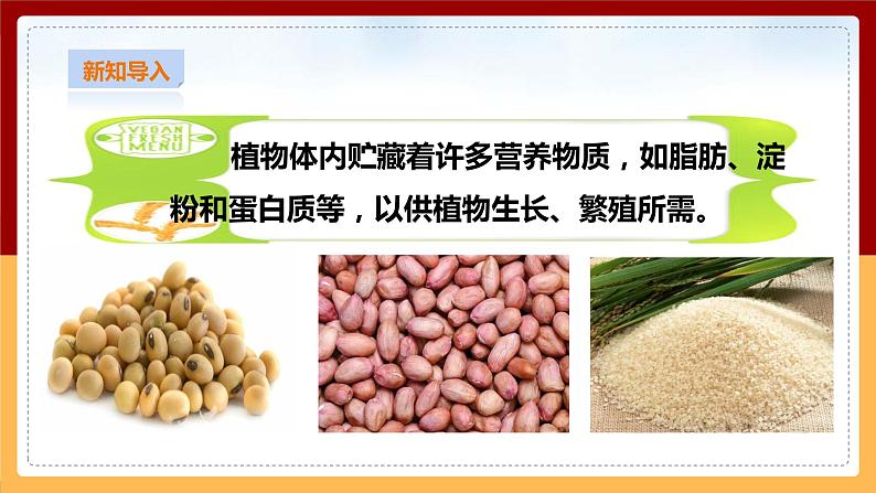 粤教粤科版三下科学  3.17《专题研究：脂肪贮藏在哪里》课件+教案+练习03