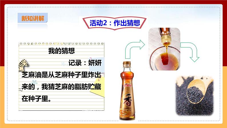 粤教粤科版三下科学  3.17《专题研究：脂肪贮藏在哪里》课件+教案+练习07