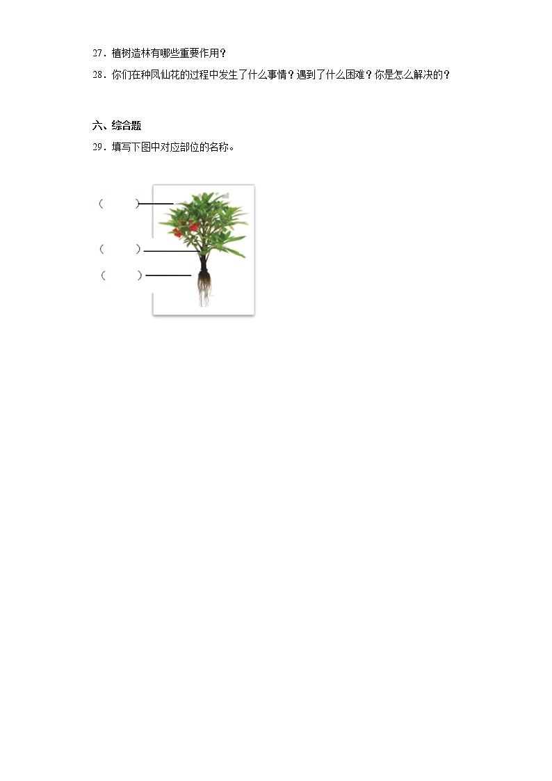 人教版三年级科学下册第二单元综合测试卷种凤仙花（一）含答案03
