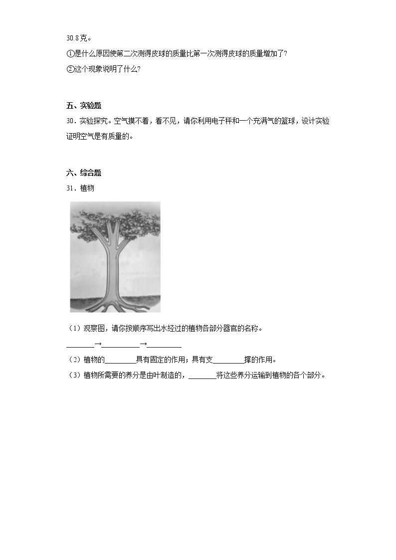 人教版三年级科学下册期中综合测试卷（一）含答案03