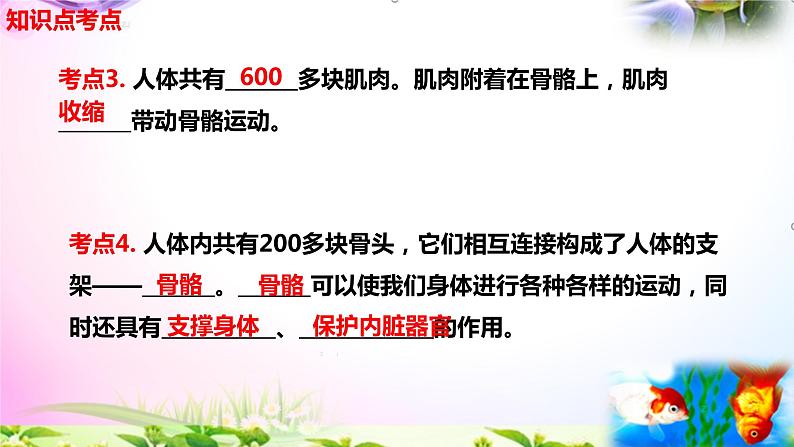 教科版科学五年级上册4.2身体的运动-知识点复习课件+实验+典型试题(动画已调点击出现)第4页