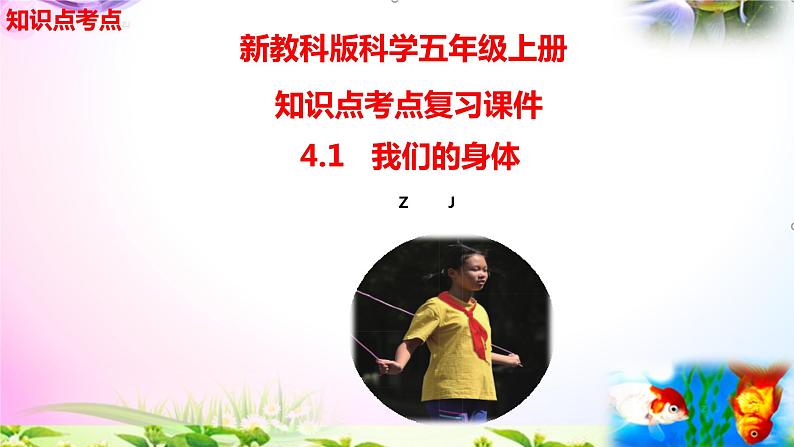 教科版科学五年级上册4.1我们的身体-知识点复习课件+实验+典型试题(动画已调点击出现)02