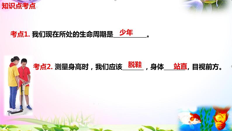 教科版科学五年级上册4.1我们的身体-知识点复习课件+实验+典型试题(动画已调点击出现)03