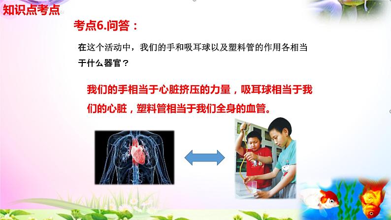 教科版科学五年级上册4.3心脏和血液-知识点复习课件+实验+典型试题(动画已调点击出现)第7页