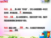 教科版科學(xué)五年級上冊4.4身體的“總指揮”-知識點復(fù)習(xí)課件+實驗+典型試題(動畫已調(diào)點擊出現(xiàn)) - 副本
