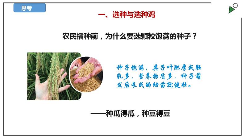 苏教版六上科学2.5《生物的遗传》PPT课件第3页