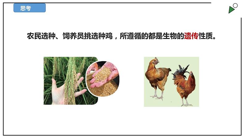 苏教版六上科学2.5《生物的遗传》PPT课件第5页