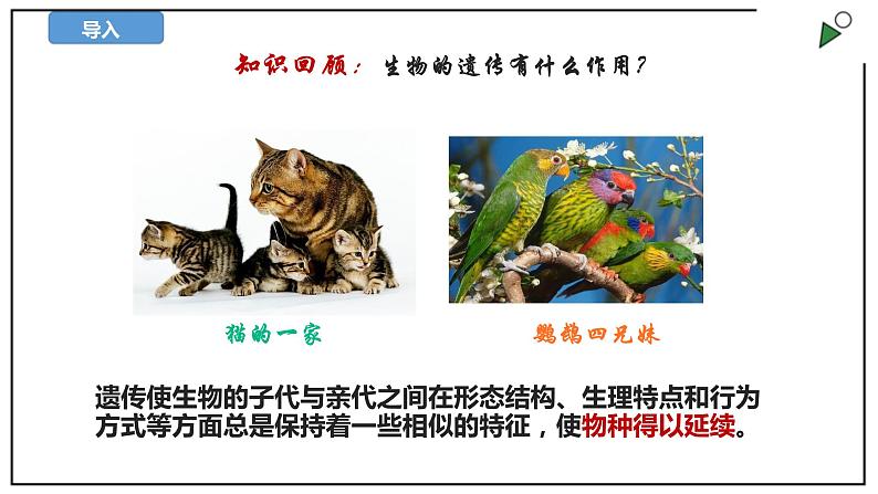 苏教版六上科学2.6《生物的变异》PPT课件第2页